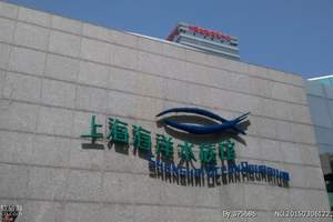 海洋水族馆
